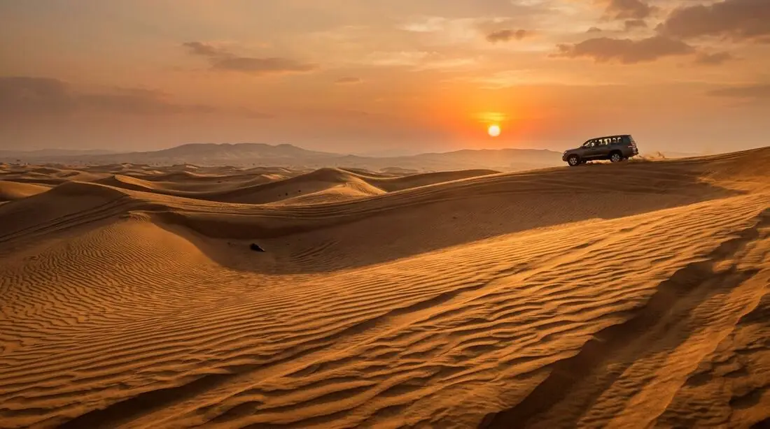 Desert Safari with BBQ & Tanoura